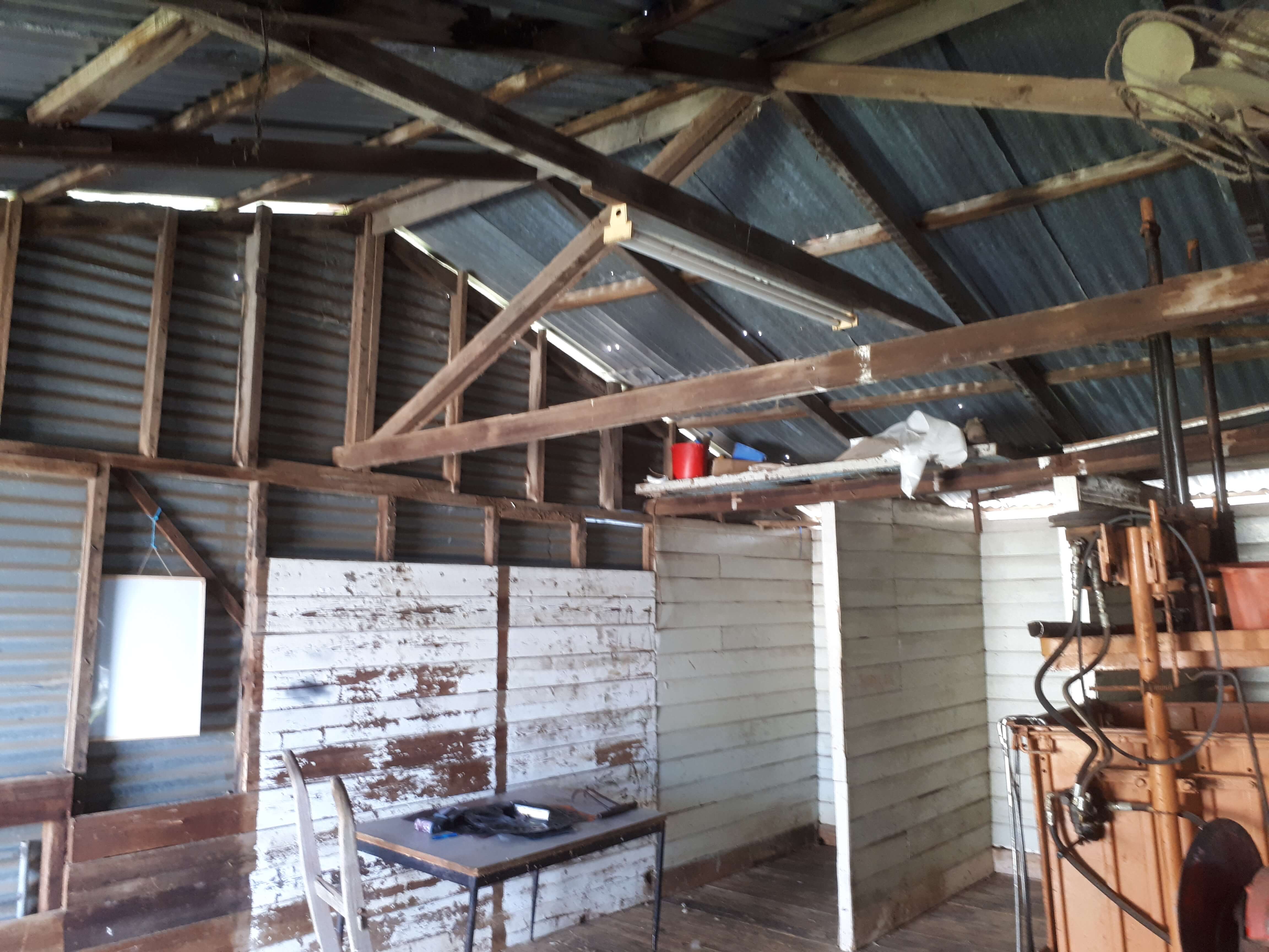 Before Shearing Shed